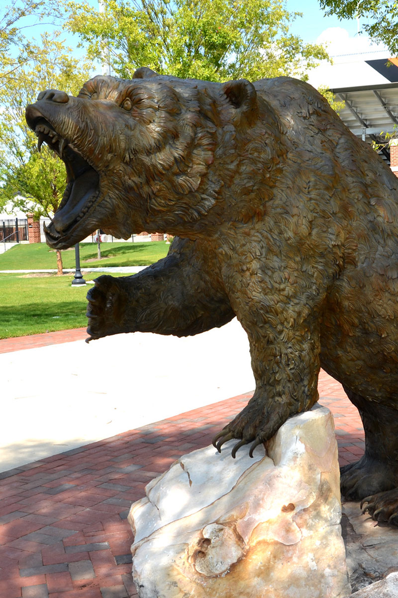 Mercer University bear